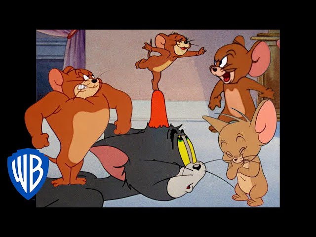 tom jerry